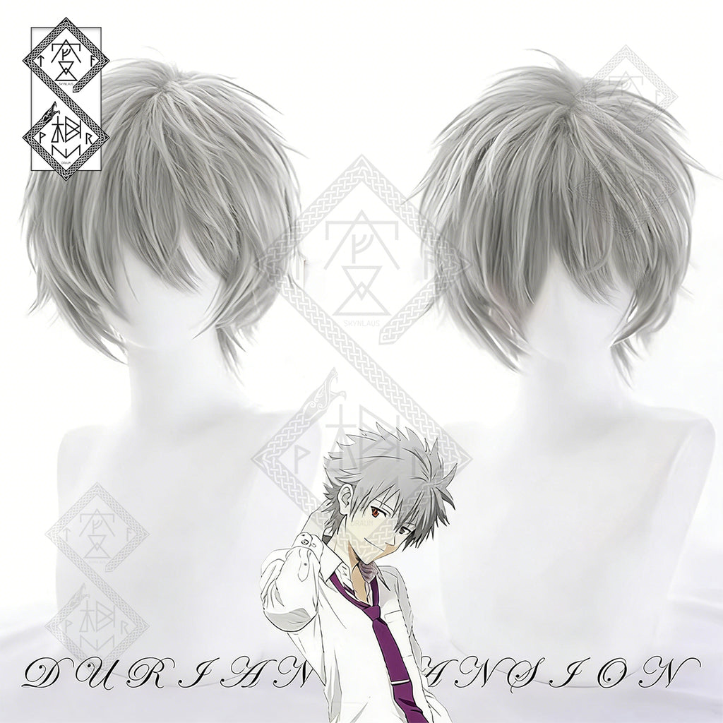 Neon Genesis Evangelion Kaworu Nagisa Wig Cosplay Wig Short Silver Anime Hair Styled Wig