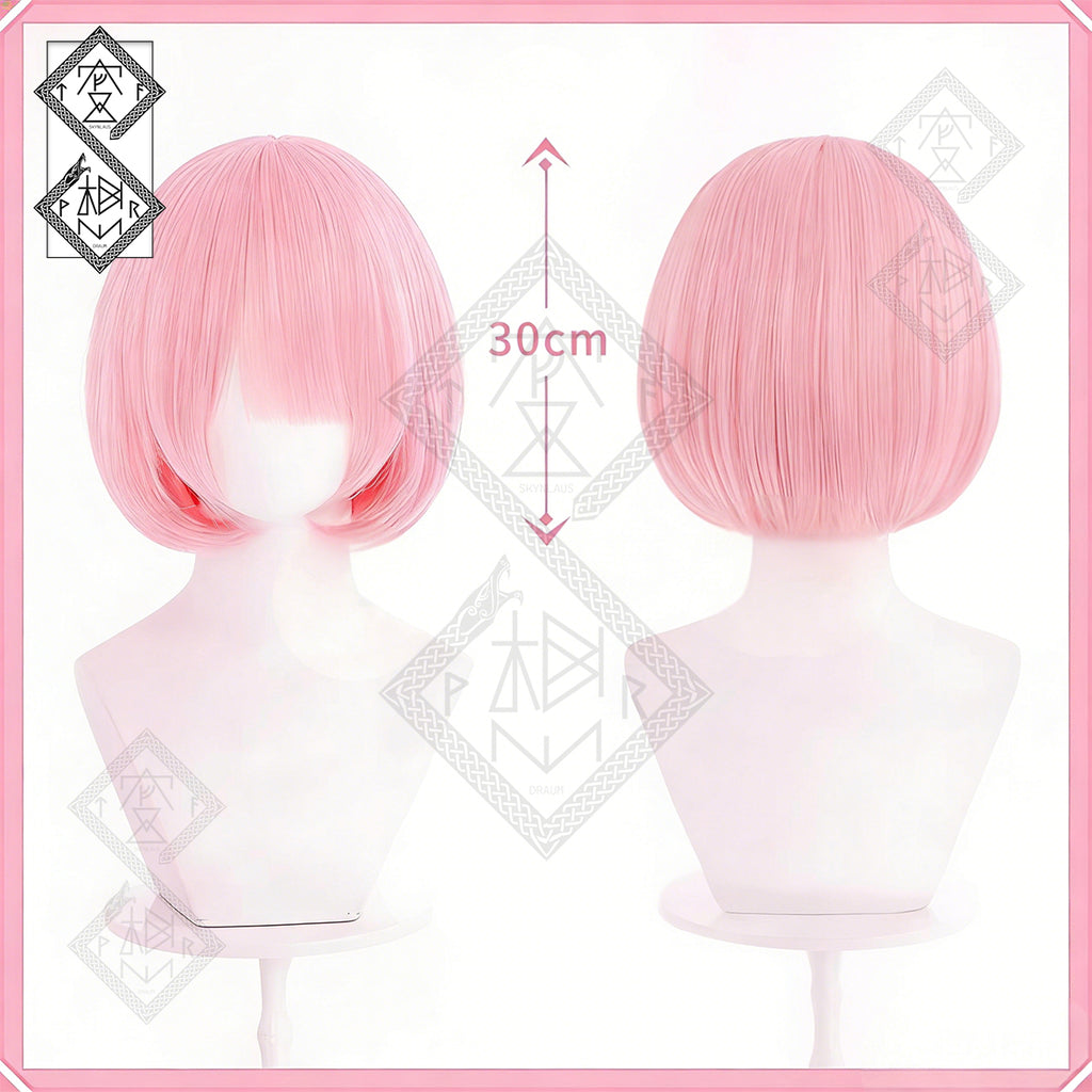 Re Zero Rem Ram Cosplay Wig Blue Pink Long Straight Anime Wig Heat Resistant Costume Hair for Women(Ver.1 Ram)