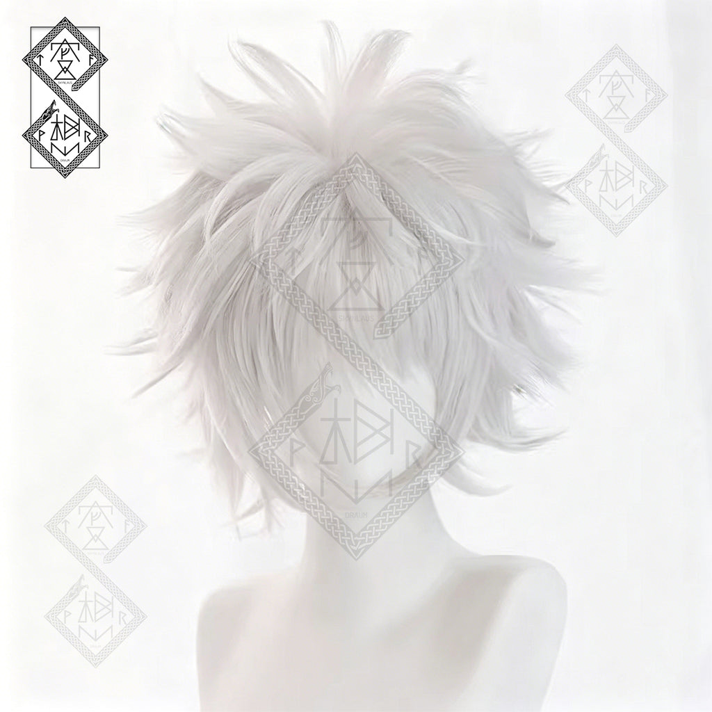 Hunter x Hunter Killua Zoldyck Cosplay Wig Silver Spiky Anime Wig Pre-Styled Heat Resistant Synthetic Hair