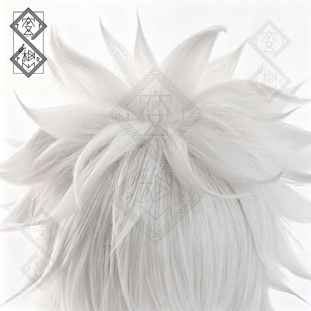 Hunter x Hunter Killua Zoldyck Cosplay Wig Silver Spiky Anime Wig Pre-Styled Heat Resistant Synthetic Hair