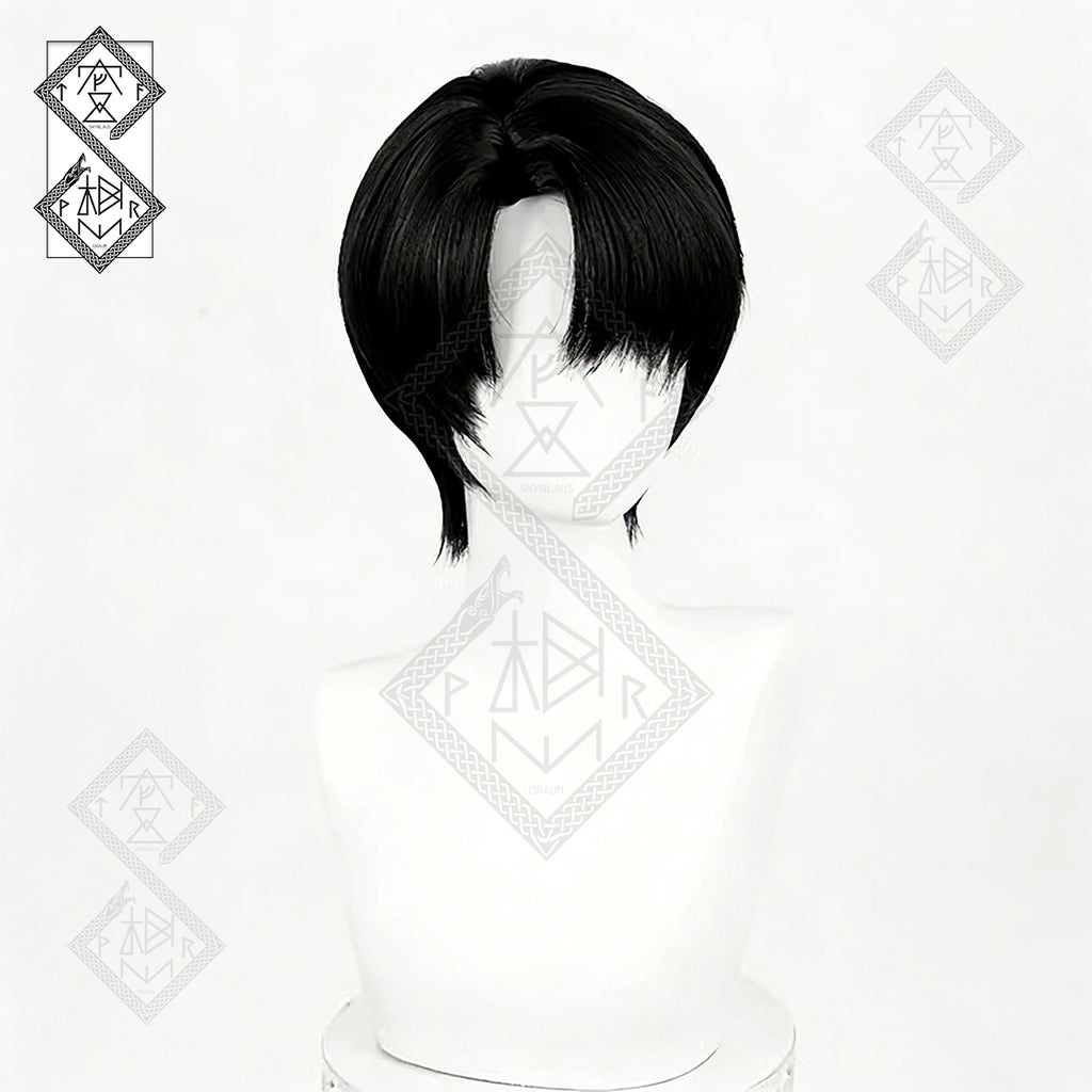 Attack on Titan Levi Ackerman Cosplay Wig - Spiked Top, Natural Black-Brown Hair, Heat Resistant(Spiked Top ver.1)