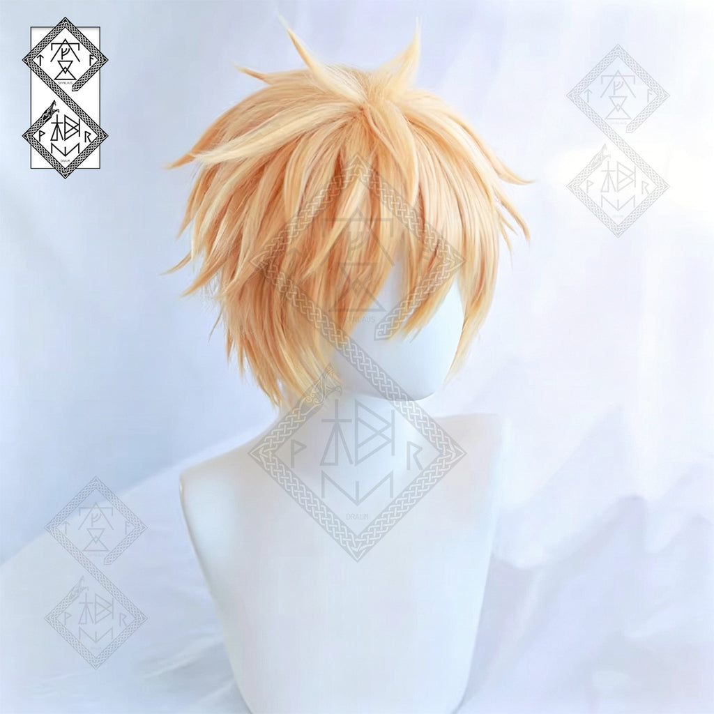 Chainsaw Man Denji Cosplay Wig Messy Spiky Anime Wig Halloween Costume Hair for Men