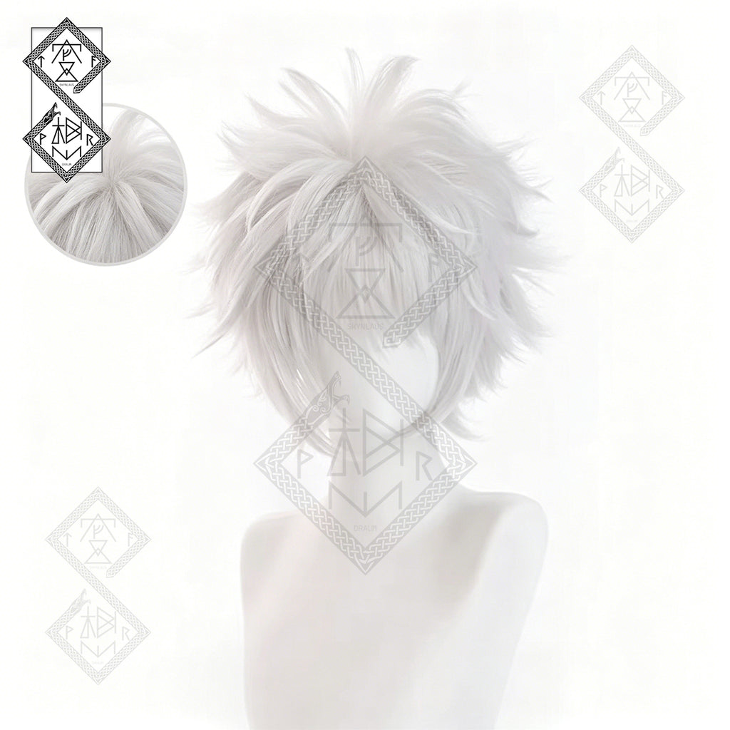 Hunter x Hunter Killua Zoldyck Cosplay Wig Silver Spiky Anime Wig Pre-Styled Heat Resistant Synthetic Hair